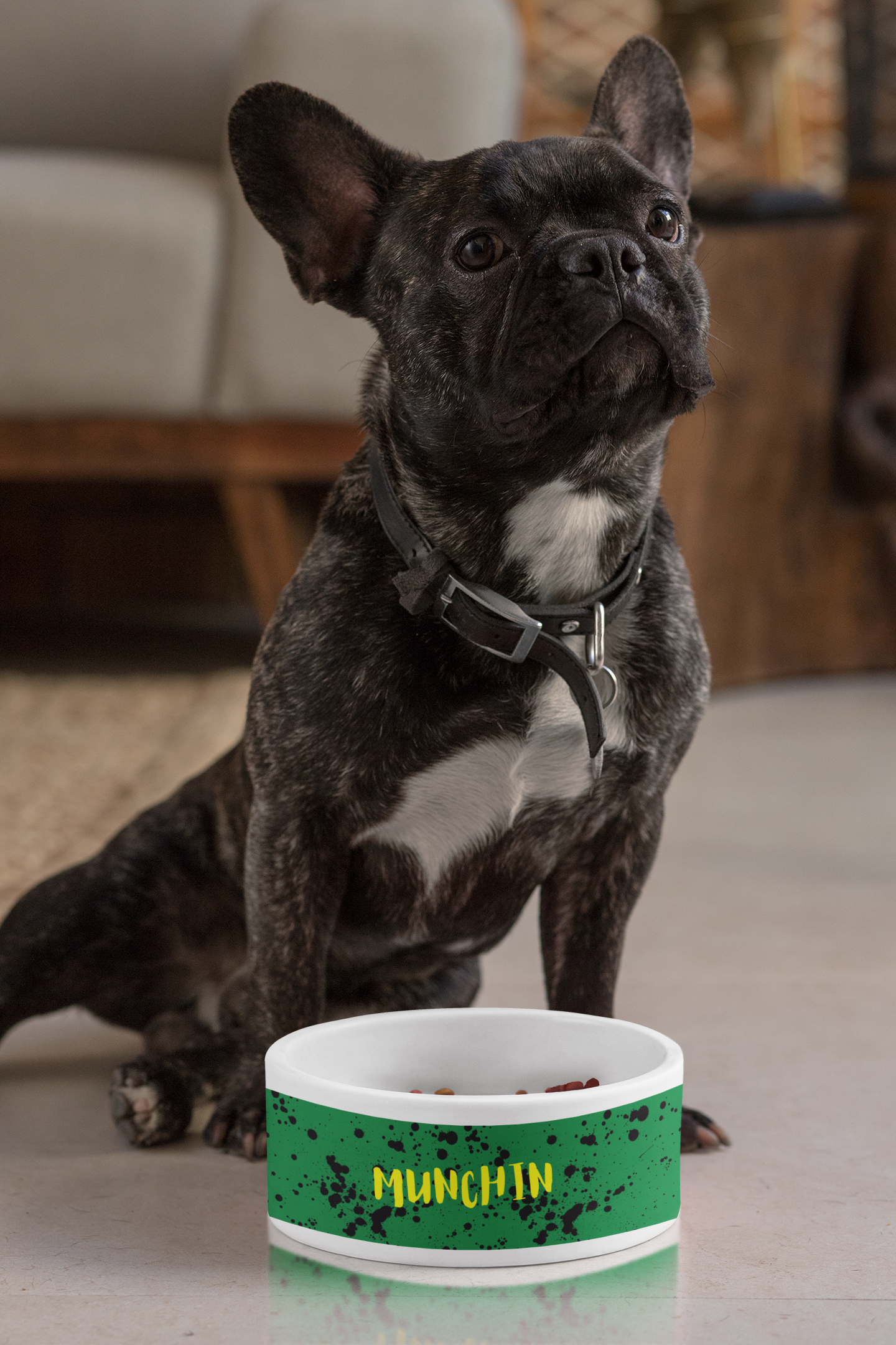 MUNCHIN CERAMIC PET BOWL - swaggiwags