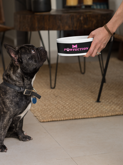 PAWFECTION CERAMIC PET BOWL - swaggiwags