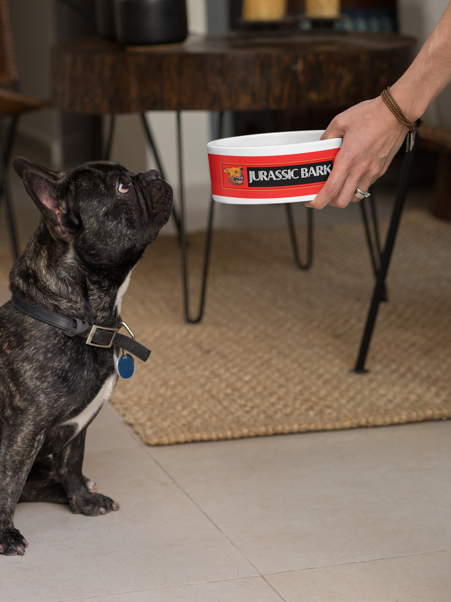 JURASIC BARK Ceramic Dog bowl - swaggiwags